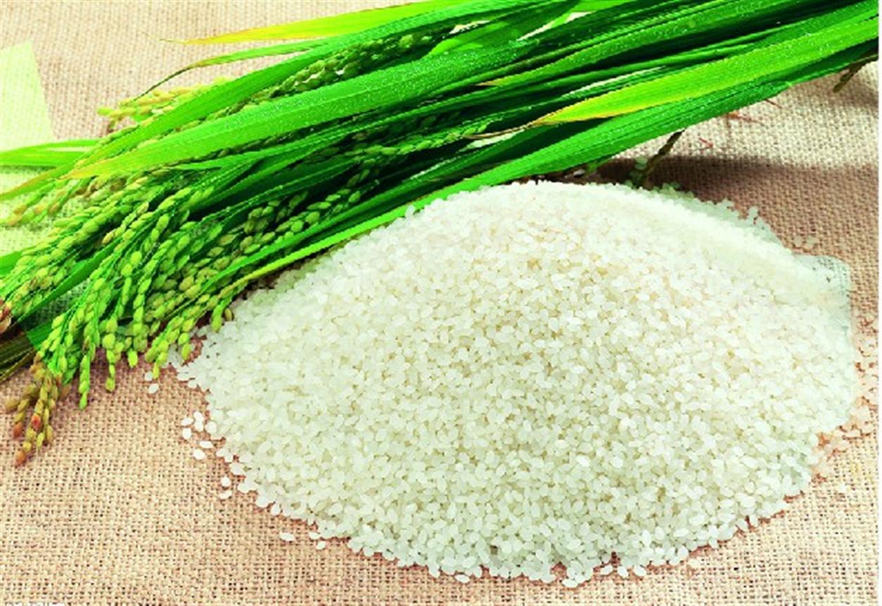 ���ʴ���